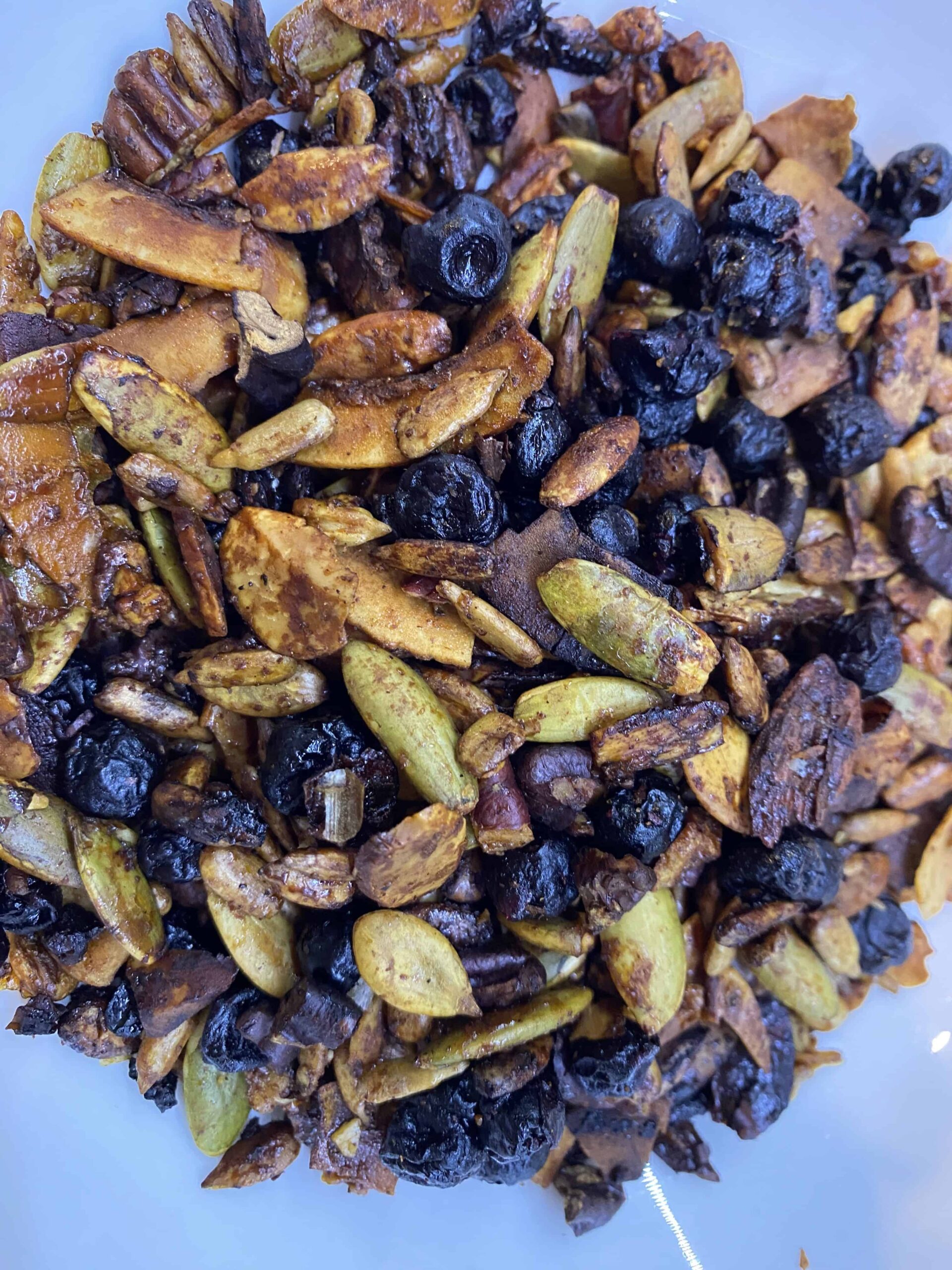 Blueberry Nut Granola